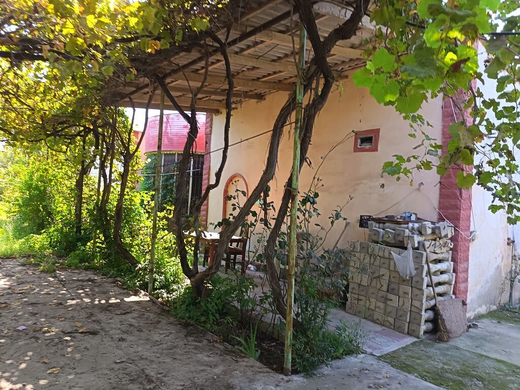 Yaşıl həyətli fərdi ev sahəsi - Geniş həyət: betonlanmış keçid və — Ev, villa, Bakı (5)