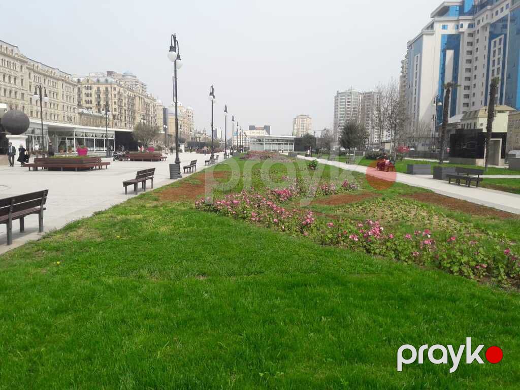 Satılır 3 otaqlı yeni tikili 189 m² — Mənzil, Bakı (4)