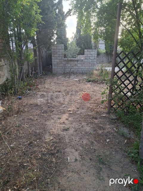 Tikinti — Digah