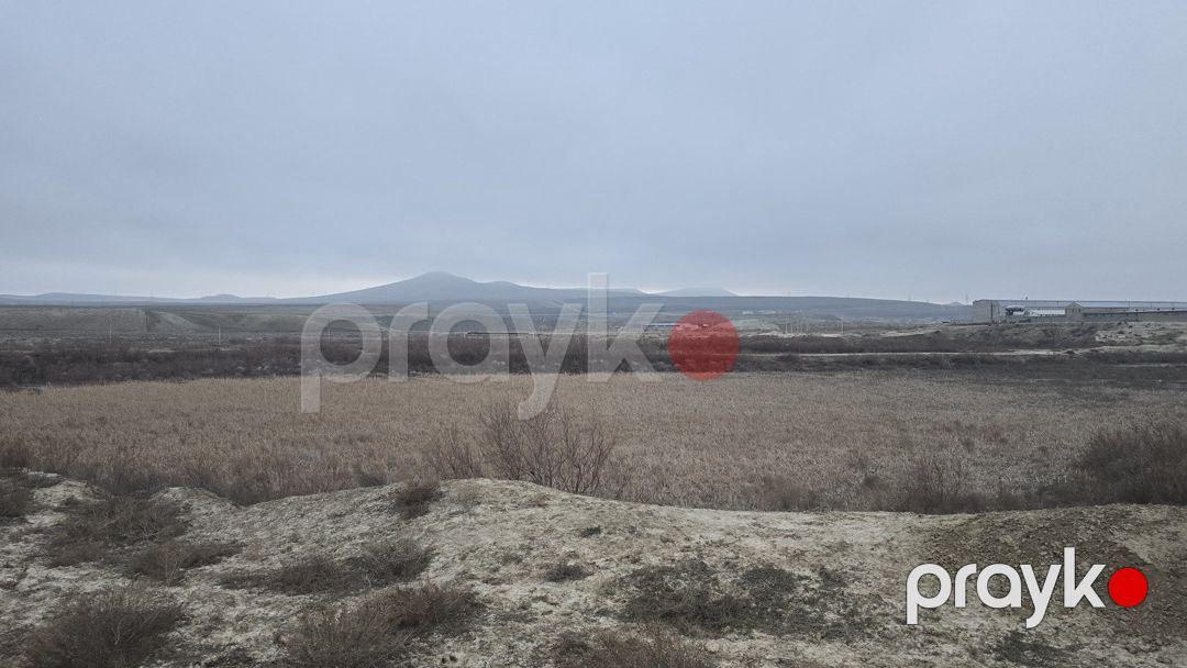 Satılır torpaq 506 sot — Torpaq, Bakı (4)