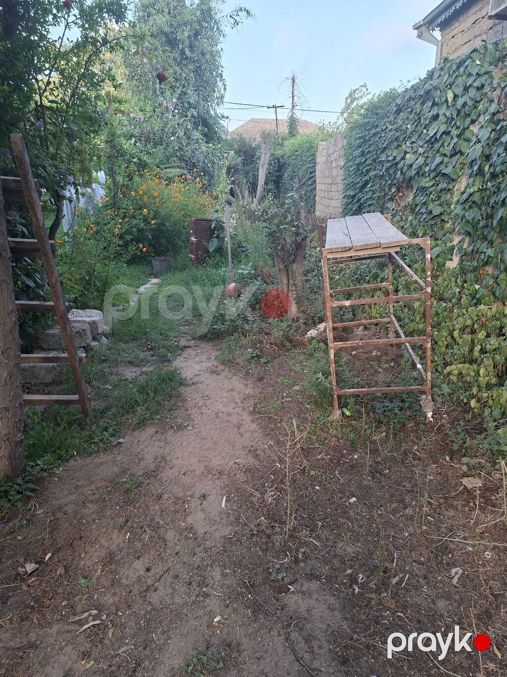 3 sot, Tikinti, Kupça (Çıxarış) — Torpaq, Digah (4)
