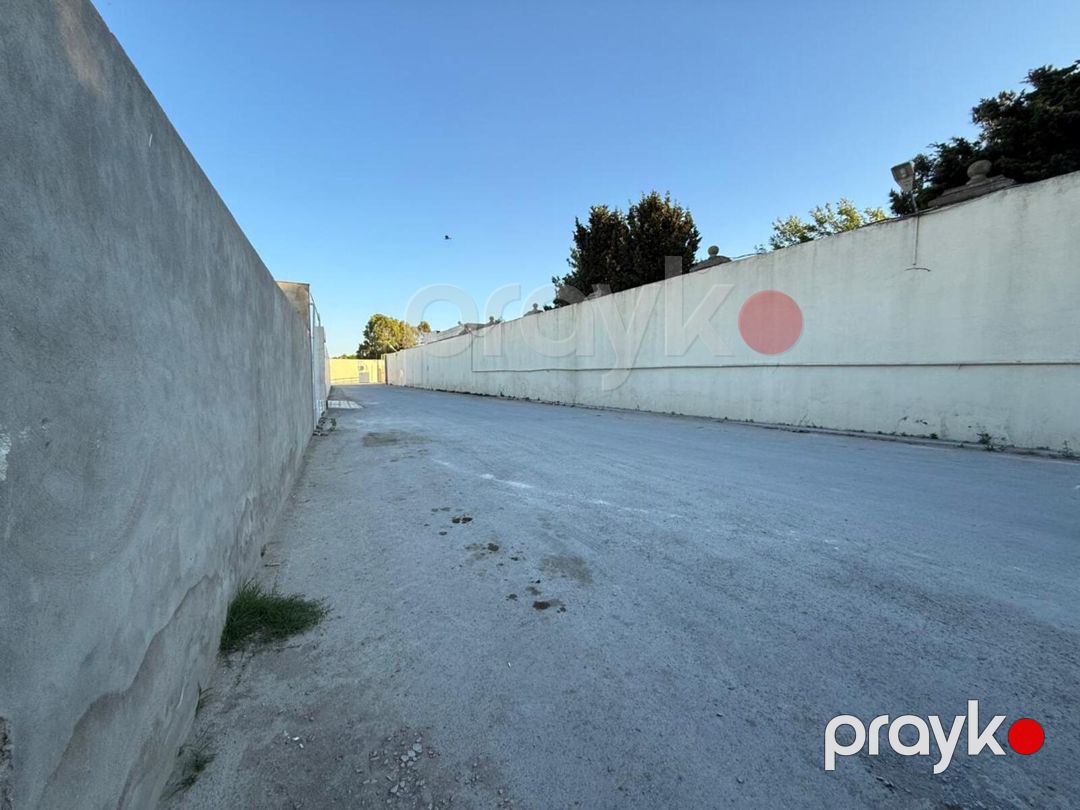 Satılır torpaq 6 sot — Torpaq, Bakı (4)