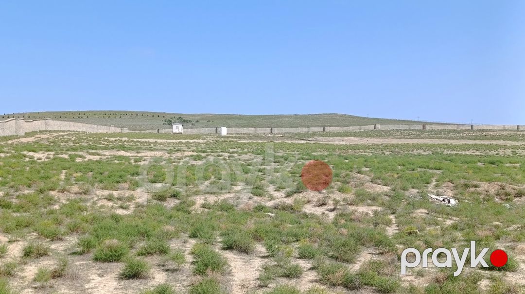 Satılır torpaq 51 sot — Torpaq, Bakı (3)