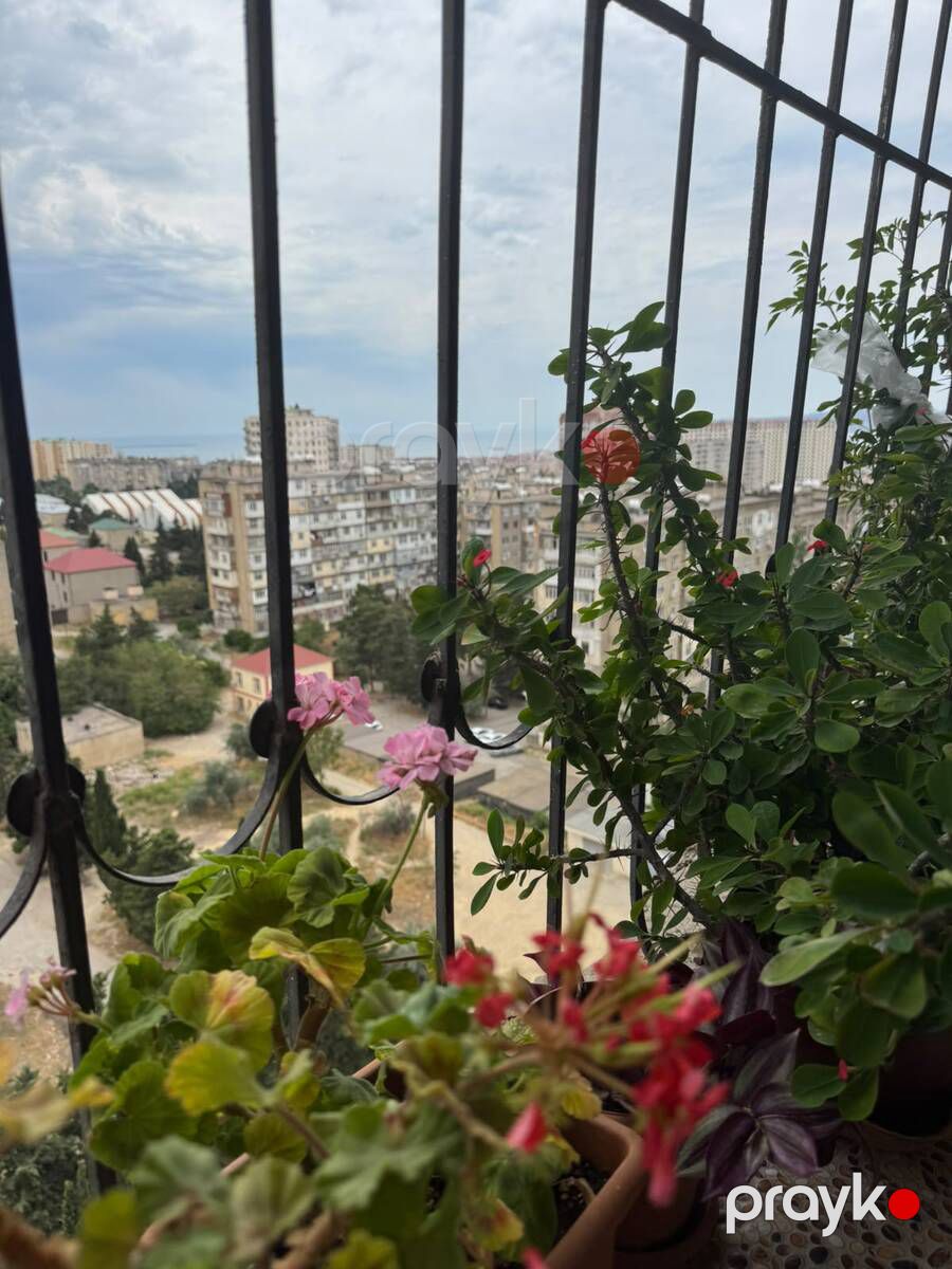 Satılır 3 otaqlı yeni tikili 126.5 m² — Mənzil, Bakı (12)