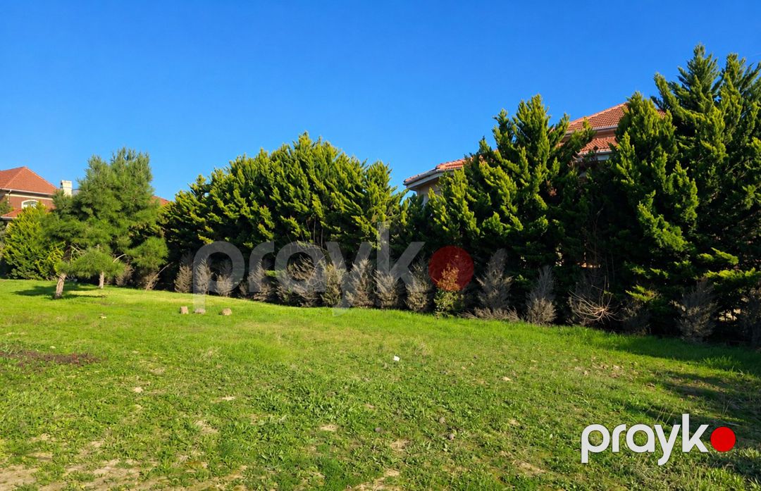 Satılır torpaq 20 sot — Torpaq, Bakı (8)