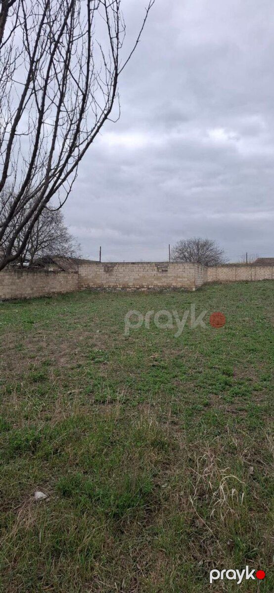 20 sot torpaq sahəsi, Şəki ş — Torpaq, Şəki (2)