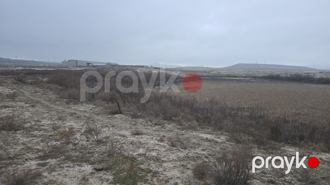Satılır torpaq 506 sot — Torpaq, Bakı (7)
