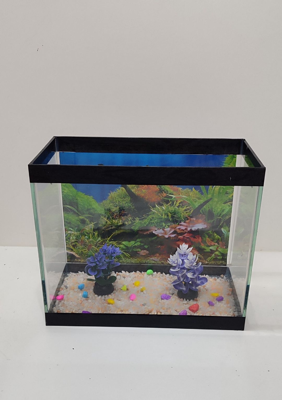 Akvarium, şüşə, 25x30x17 sm, 10 l — Mallar, Bakı