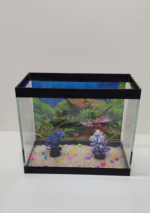Akvarium, şüşə, 25x30x17 sm, 10 l — Bakı