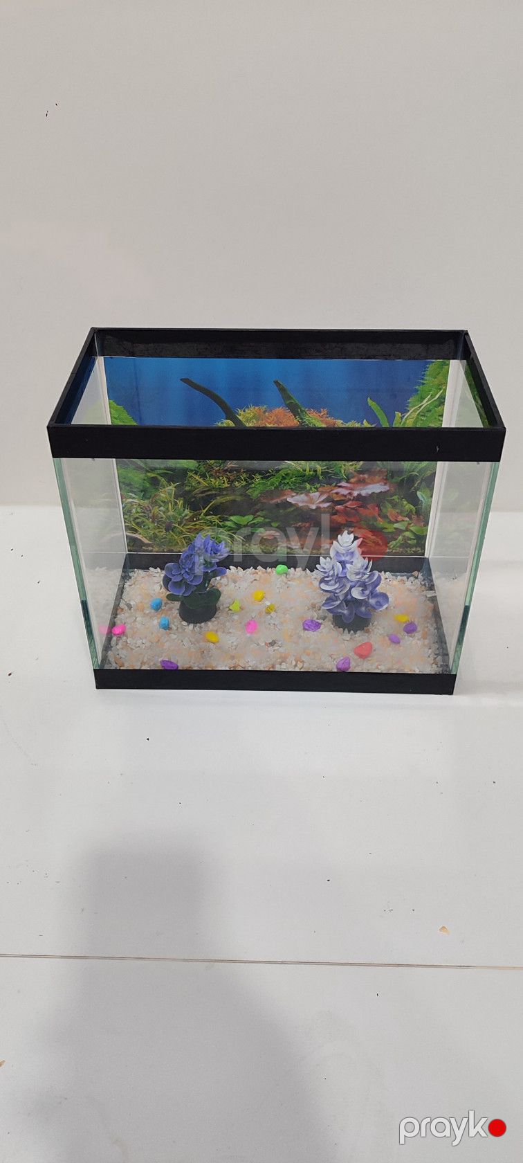 Akvarium, şüşə, 30x17x25 sm, 10 l — Mallar, Bakı (2)