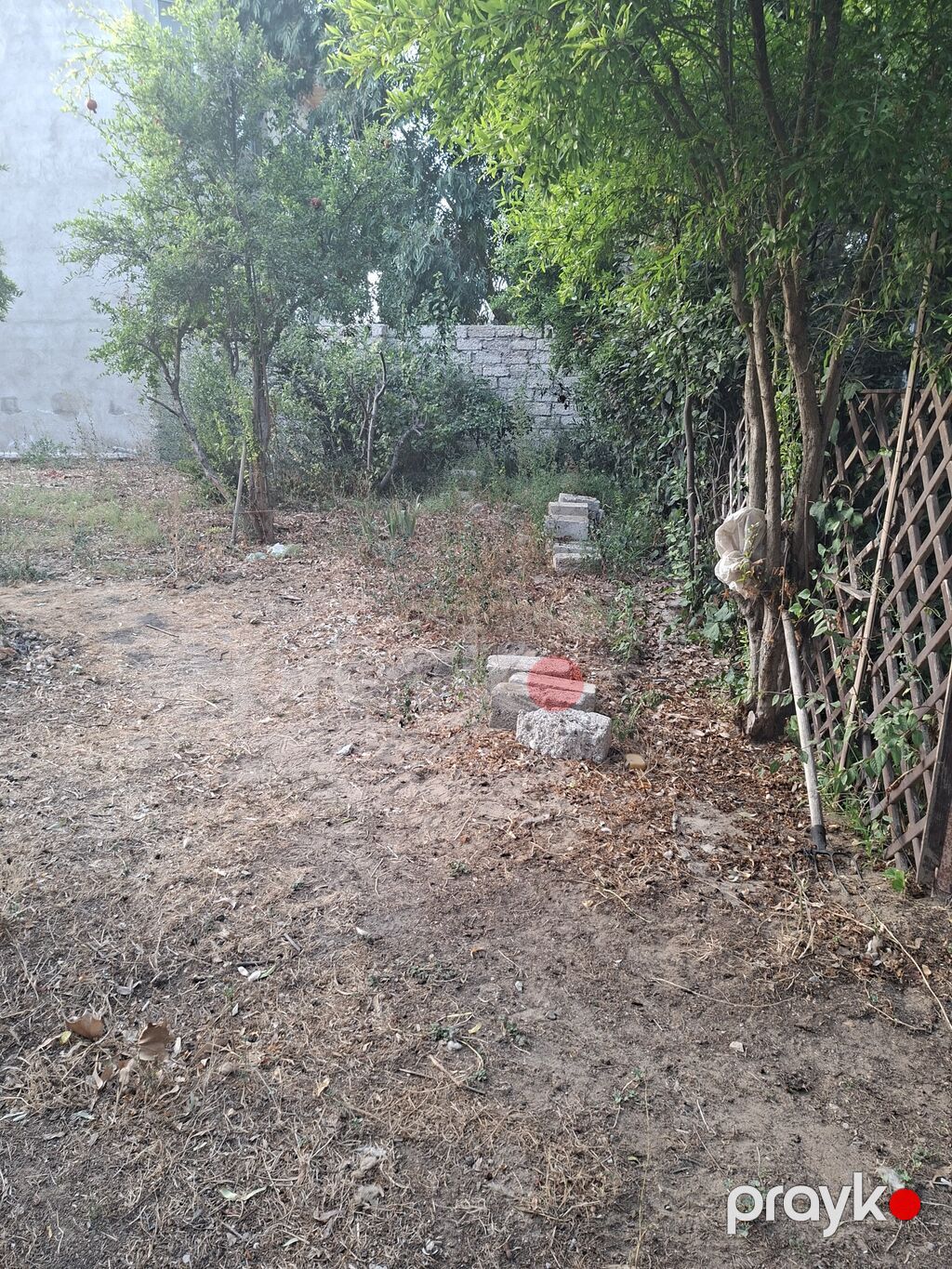 Tikinti — Torpaq, Digah (2)