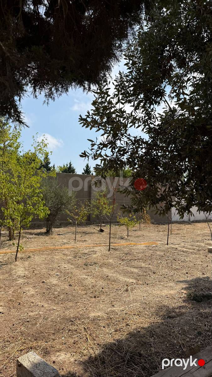 Satılır torpaq 5 sot — Torpaq, Bakı (5)
