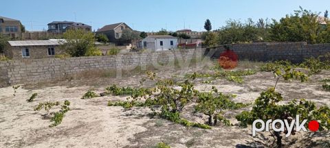 21 sot, Tikinti, Makler, Kupça (Çıxarış) — Novxanı
