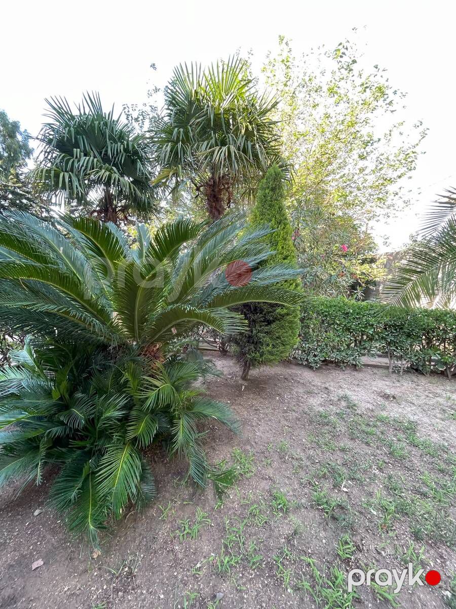 Satılır 6 otaqlı həyət evi/bağ evi 360 m² — Ev, villa, Bakı (12)