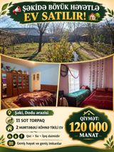 Həyət evi, Şəki ş — Aliosman