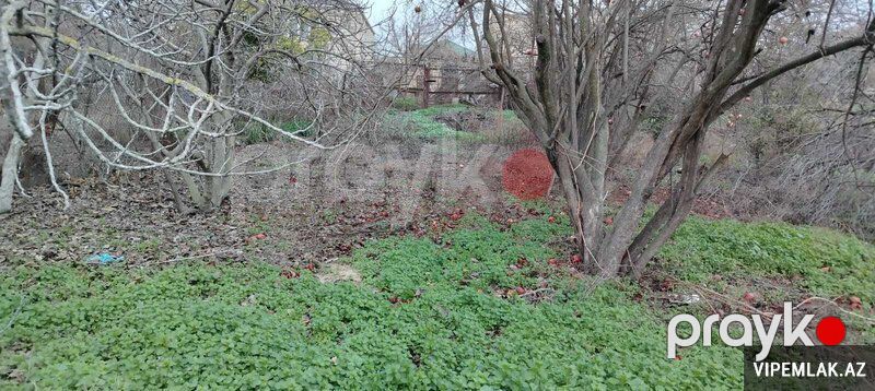 Xətai rayonunda Torpaq Satılır, 3 sot — Torpaq, Bakı (5)