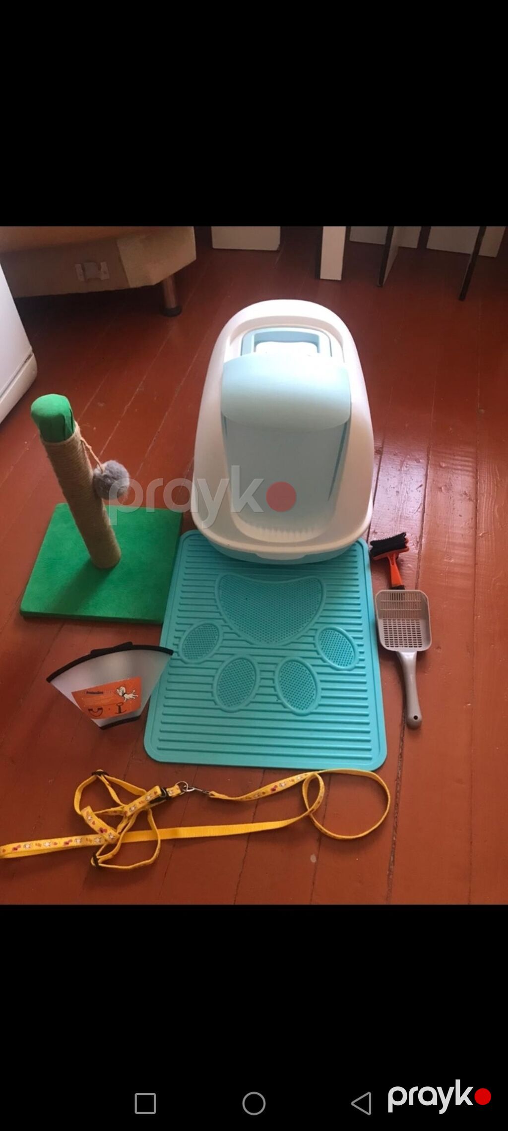Endirim olunacaq. Pişik üçün aksesuarlar dəsti - Qapalı pişik — Digər, Bakı (3)