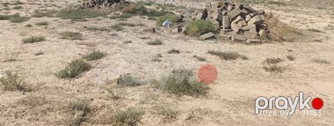 8 sot torpaq sahəsi, Qobu Lökbatan yolu — Bakı