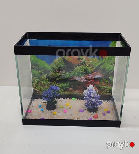 Akvarium, şüşə, 30x17x25 sm, 10 l — Bakı