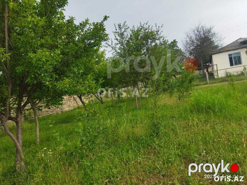 Torpaq Satılır Qəbələ, Torpaq sahəsi, 18 sot — Torpaq, Qəbələ (3)