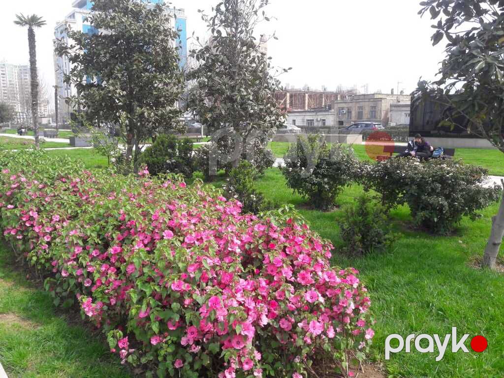 Satılır 3 otaqlı yeni tikili 189 m² — Mənzil, Bakı (3)