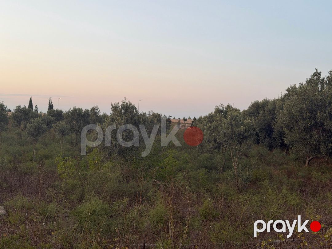 40 sot torpaq sahəsi, Zirə qəs — Torpaq, Bakı (6)