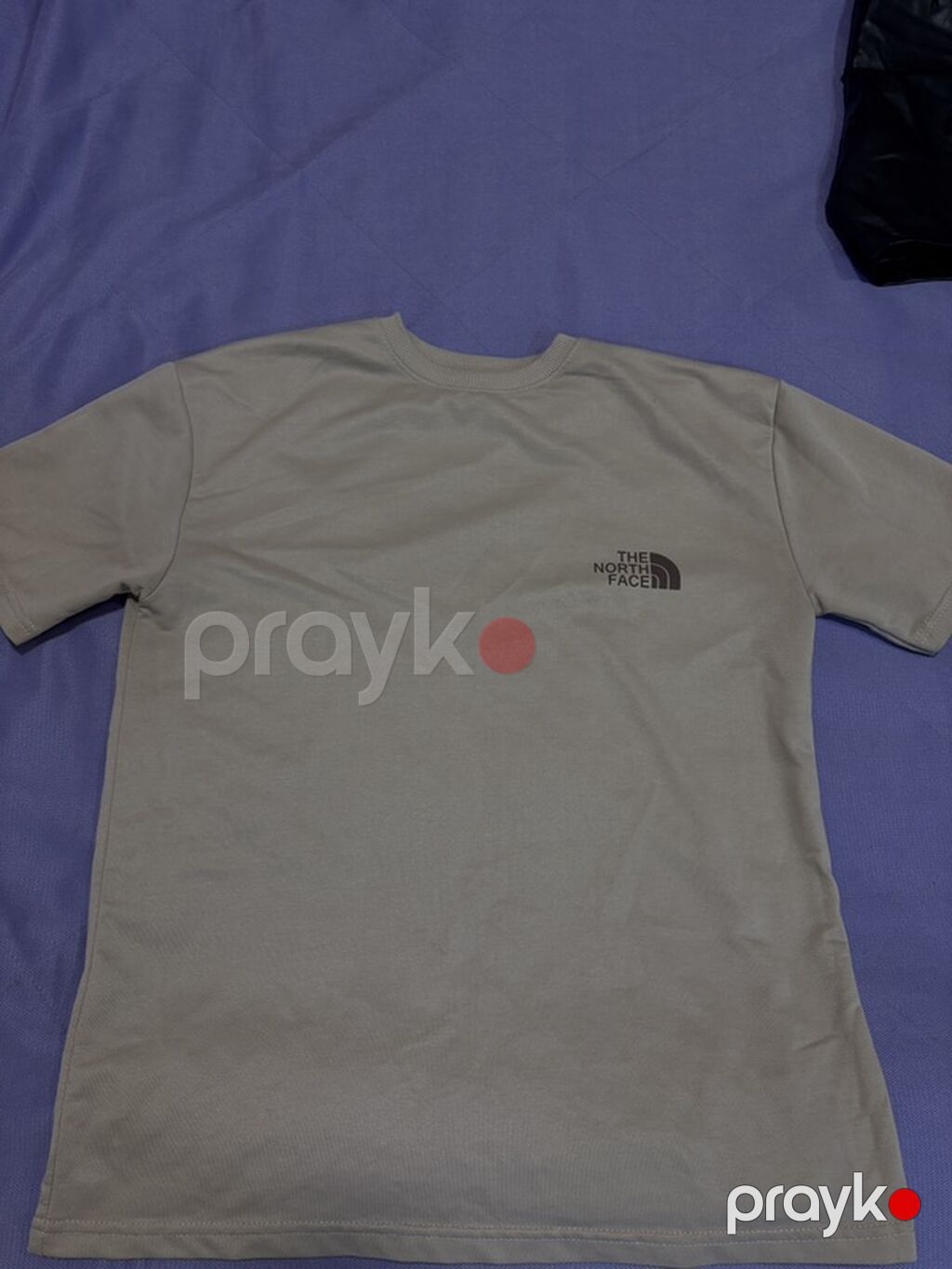 The North Face qısaqollu T‑shirt - Rəng: açıq bej/boz ton - Ön tərəf — Futbolka və polo, Bakı (2)