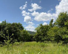 Torpaq Satılır Qəbələ, Torpaq sahəsi, 18 sot — Torpaq, Qəbələ (6)