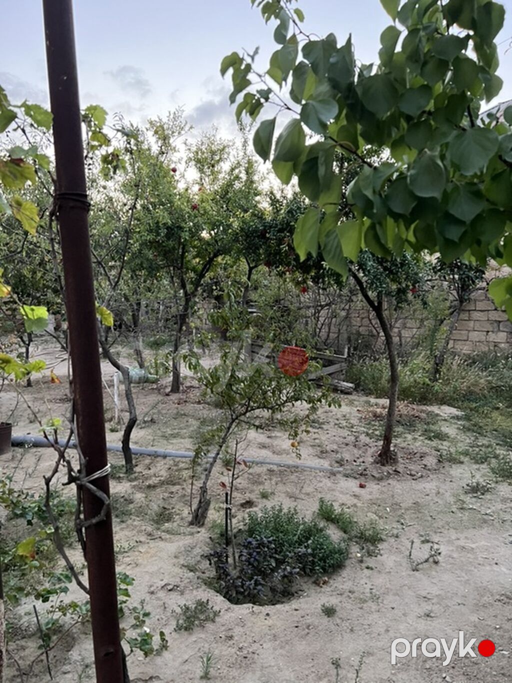 Sarayda torpağ 2.5 sotdu Bu həyəti alan özü üçün evdə tikə bilər — Ev, villa, Saray (4)