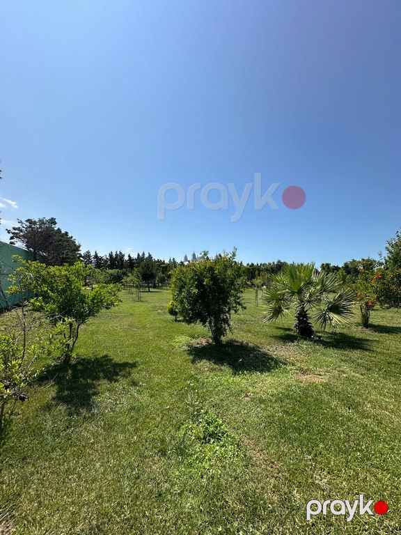 9 sot torpaq sahəsi, Şüvəlan qəs — Torpaq, Bakı (7)