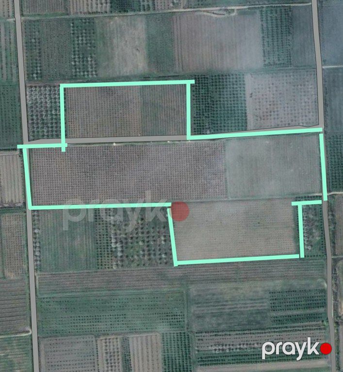 Satılır torpaq 750 sot — Torpaq, Xaçmaz (3)