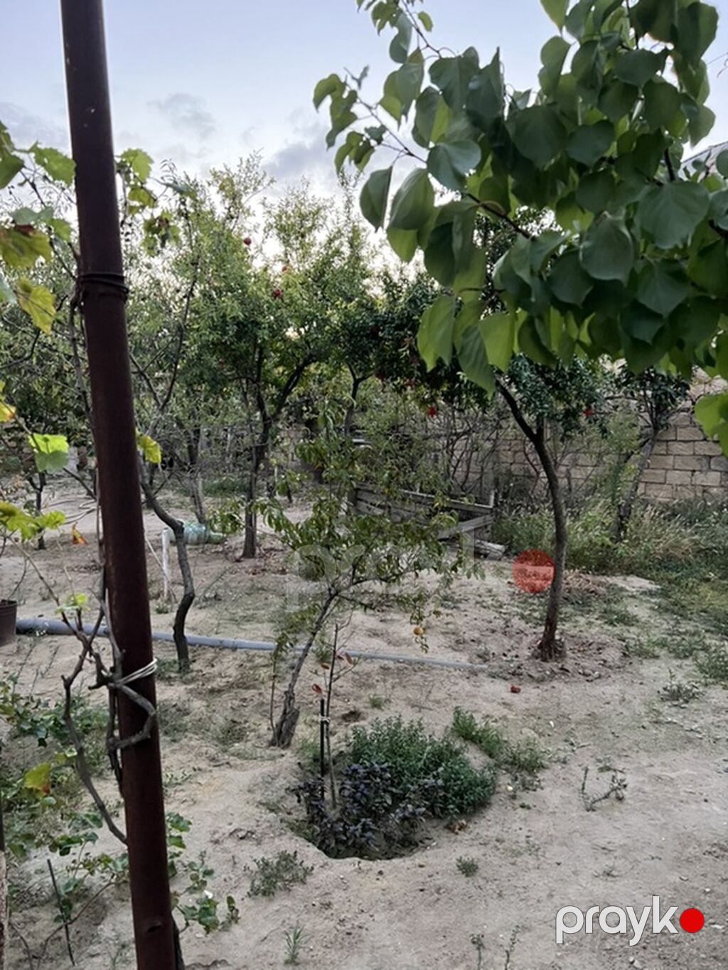 Sarayda torpağ 2.5 sotdu Bu həyəti alan özü üçün evdə tikə bilər — Torpaq, Saray (4)