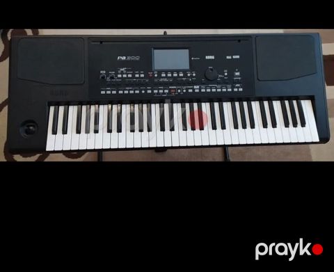 Korg Pa300 aranjor sintezator - 61 klaviş, toxunuşa həssas - Daxili — Şabran