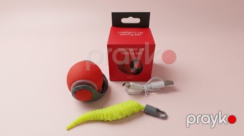 İnteraktiv oyuncaq pişiklər üçün Kitty — Bakı