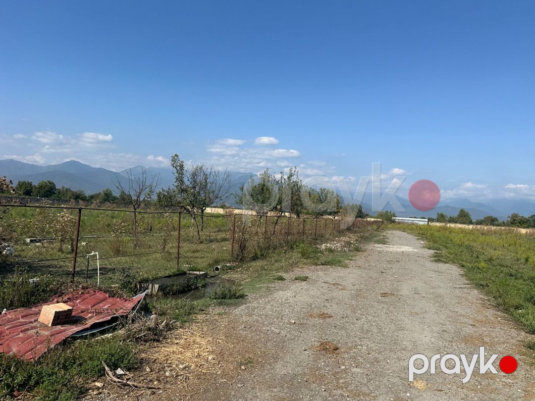 İstehsalat, 1000 m², Oğuz — Daşınmaz əmlak, Oğuz (6)