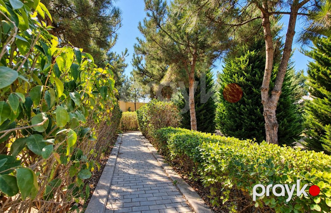 Satılır 8 otaqlı həyət evi/bağ evi 500 m² — Ev, villa, Bakı (9)