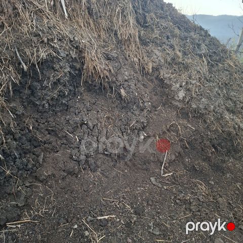Peyin — Qusar