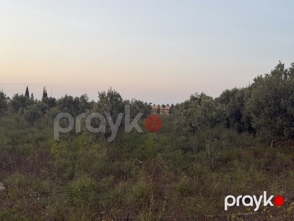 40 sot, Tikinti, Texniki pasport — Torpaq, Digah (8)