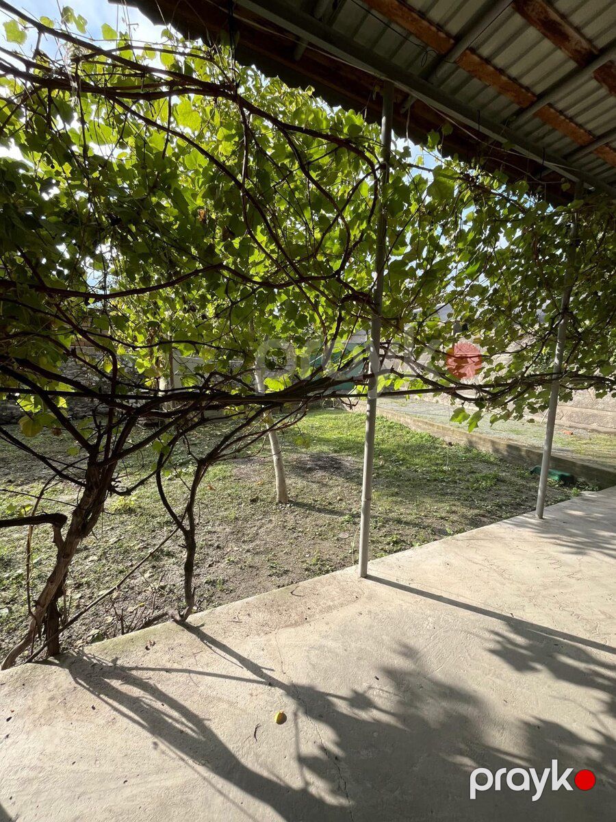 Həyət evi, şəki ş — Ev, villa, Şəki (9)