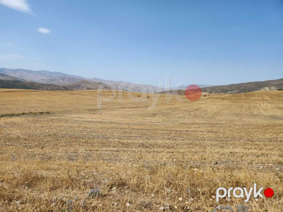 Satılır torpaq 500 sot — Torpaq, Xızı (7)