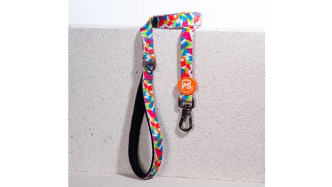 Xalta itlər üçün Pawstar Mosaic, rəngbərəng — Bakı