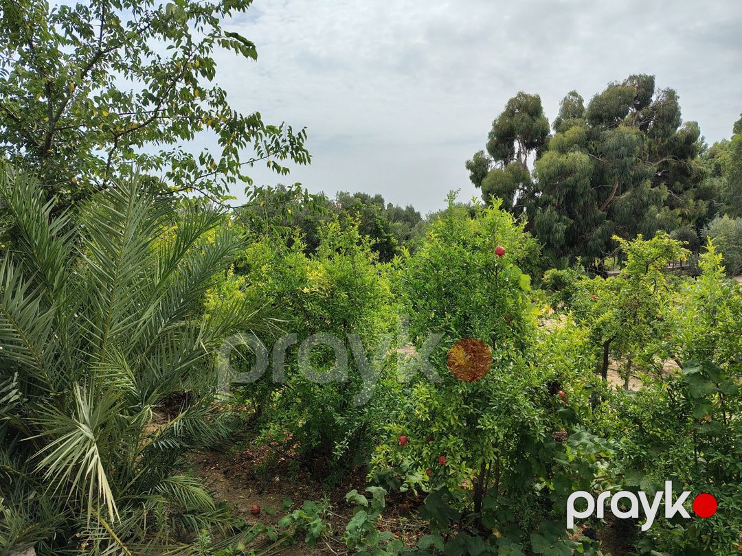 Satılır 7 otaqlı həyət evi/bağ evi 170 m² — Ev, villa, Bakı (12)
