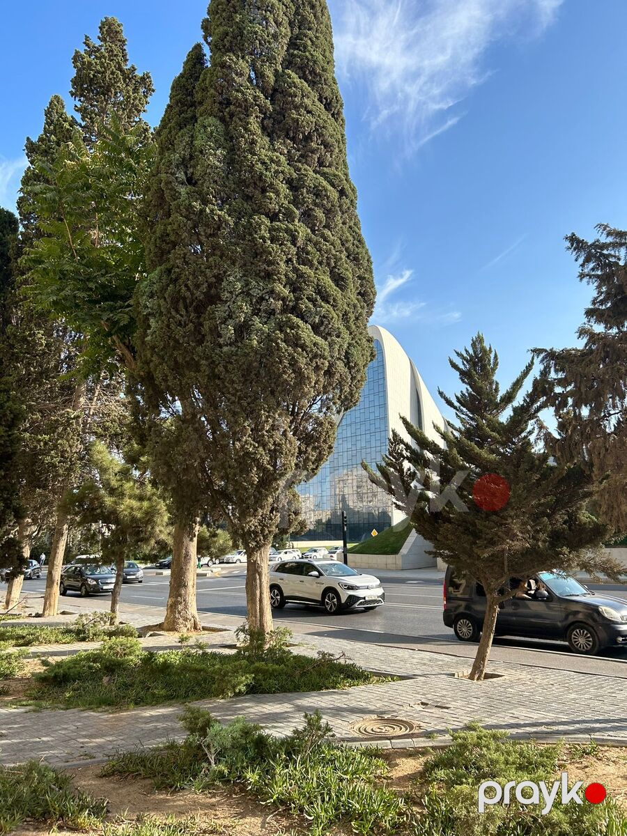 İcarəyə verilir 4 otaqlı ofis 85 m² — Ofis, Bakı (3)