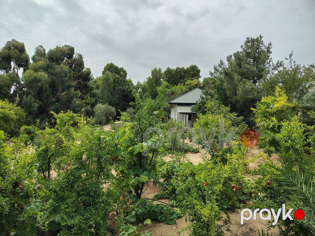 Satılır 7 otaqlı həyət evi/bağ evi 170 m² — Ev, villa, Bakı (11)
