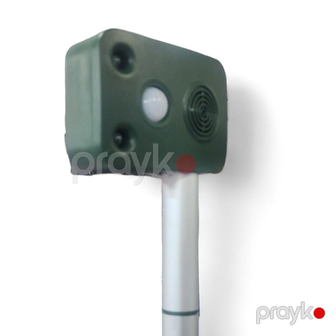 Ultrasəsli heyvanqovucu S554 Tool — Mallar, Bakı (2)