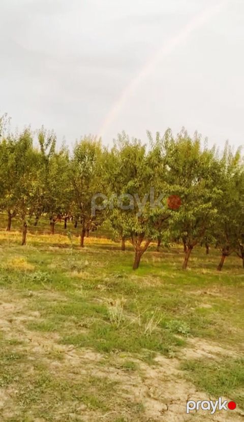 Satılır torpaq 250 sot — Hacıqabul