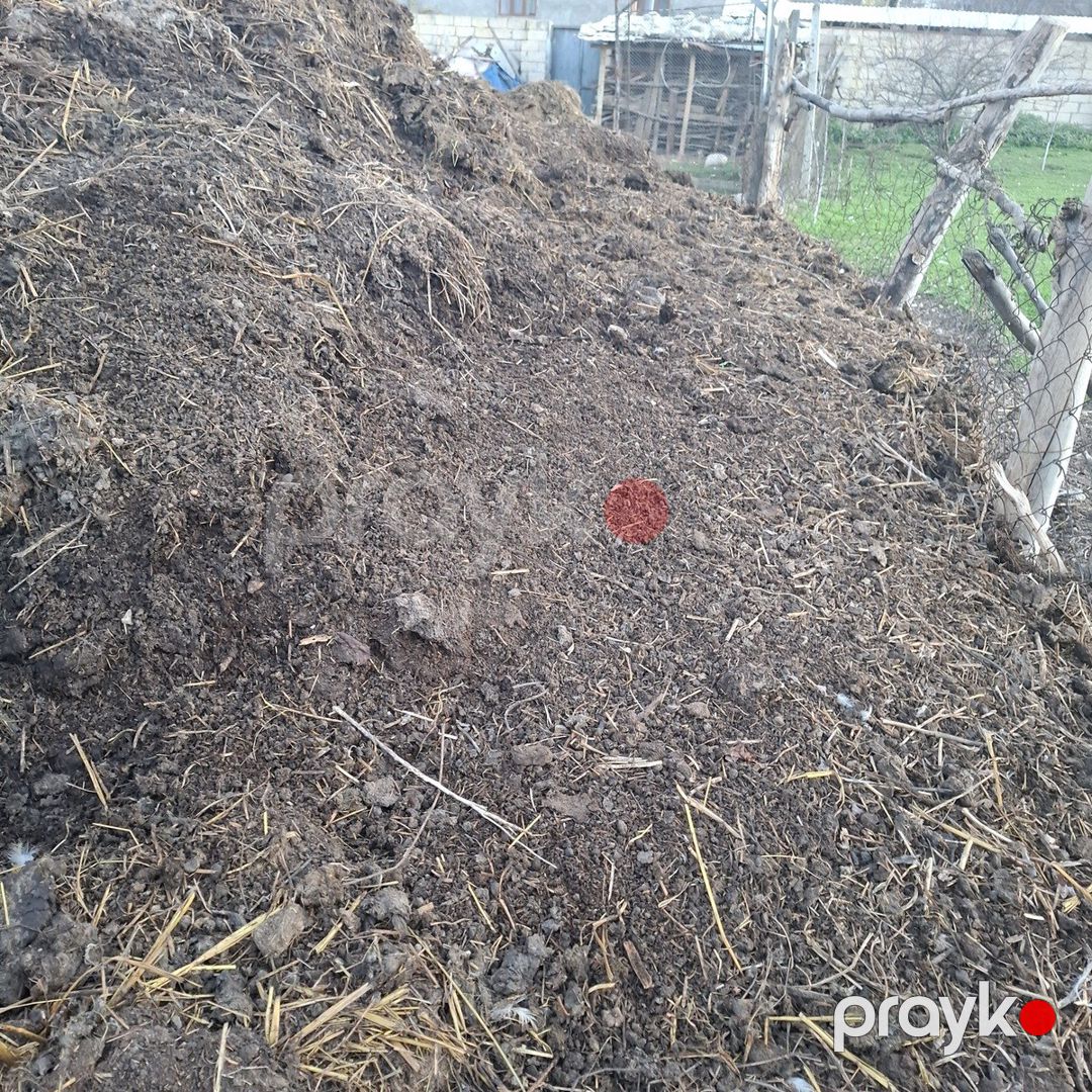Peyin — Dacha və bağ, Qusar (2)