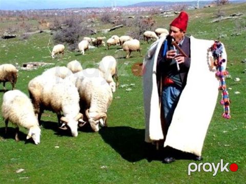 Çoban, 50 yaş, 1 ildən az təcrübə — Bakı