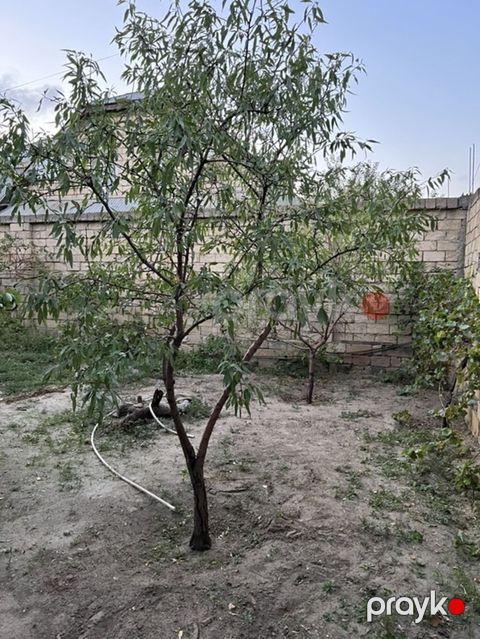 Sarayda torpağ 2.5 sotdu Bu həyəti alan özü üçün evdə tikə bilər — Saray
