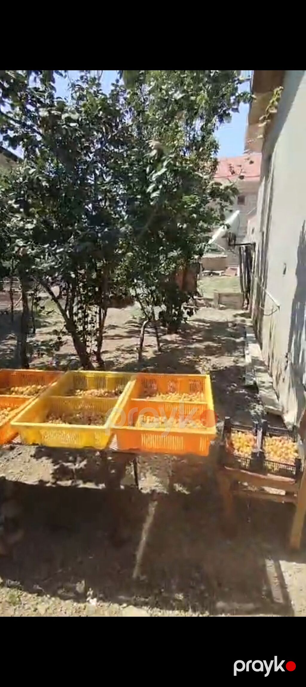 ev satılır Biləsuvar rayon Bəydili kəndində Tam təmirli — Ev, villa, Biləsuvar (4)